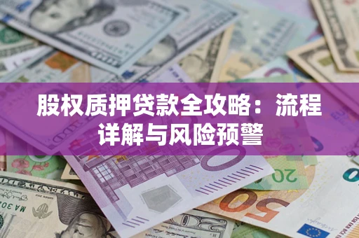 武汉股权质押贷款全攻略：流程详解与风险预警
