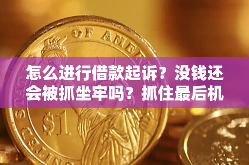 武汉怎么进行借款起诉？没钱还会被抓坐牢吗？抓住最后机会！