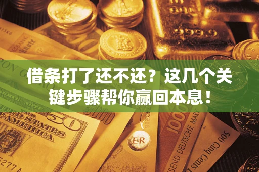 武汉借条打了还不还？这几个关键步骤帮你赢回本息！