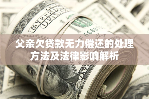 武汉父亲欠贷款无力偿还的处理方法及法律影响解析